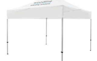 Woodline-Branding-Solutions-Unveiling-Enhanced-Brand-Identity-And-Branding-Capabilities-at-Modern-Marketing-Expo